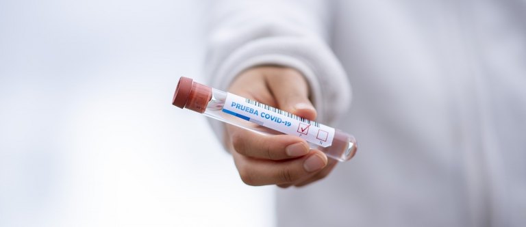 Pandemie koronaviru - květen až červen 2020