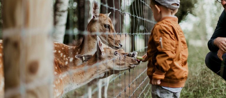 Zoo Praha slaví 90 let - navštivte ji i s dětmi