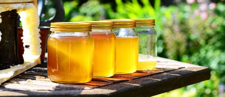 Proč a jak používat včelí med?
