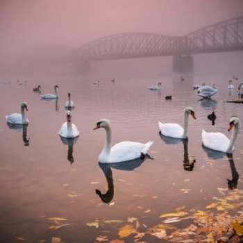 Peter Čech - fotograf - foto č. 20