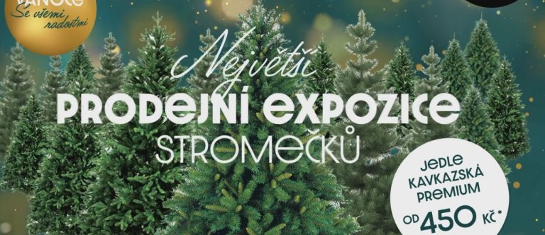 Největší prodejní expozici vánočních stromečků najdete v POP Airport