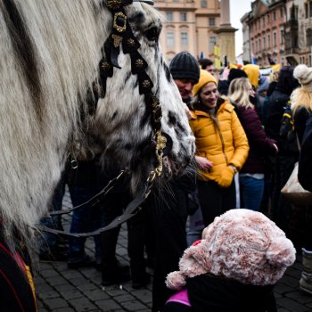 Reportáž: Lidé se opět vzepřeli vládě, tentokrát na demonstraci - foto č. 8