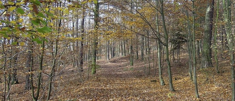 Udělejte si hezký výlet do přírodní rezervace Šance