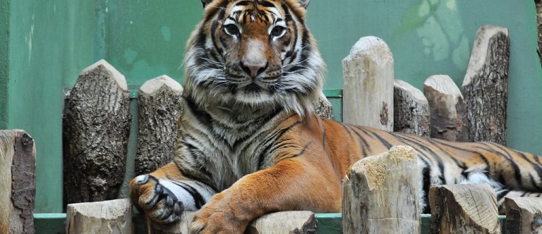 Pražská zoologická zahrada